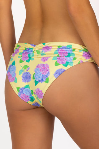 hydrangea bikini